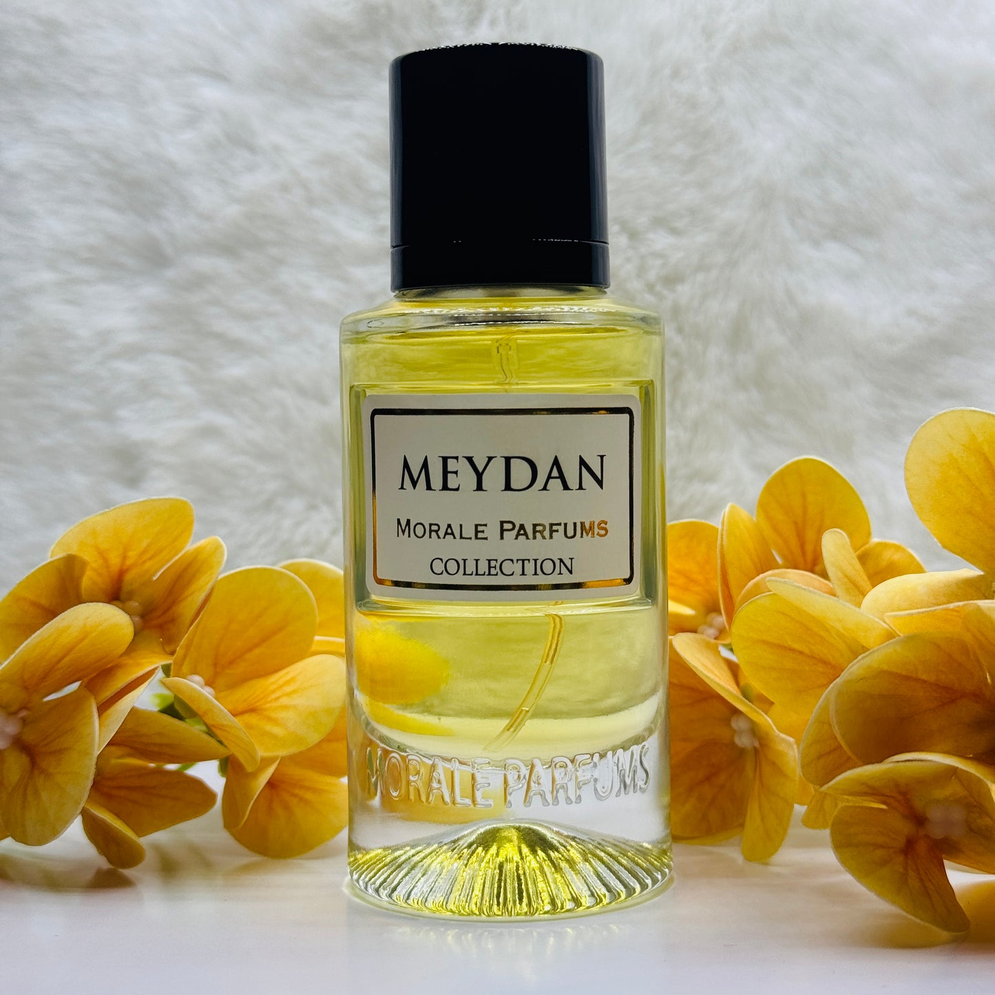 Meydan Eau De Perfume Unisex 50ml/ 1.7oz by Morale Parfum 