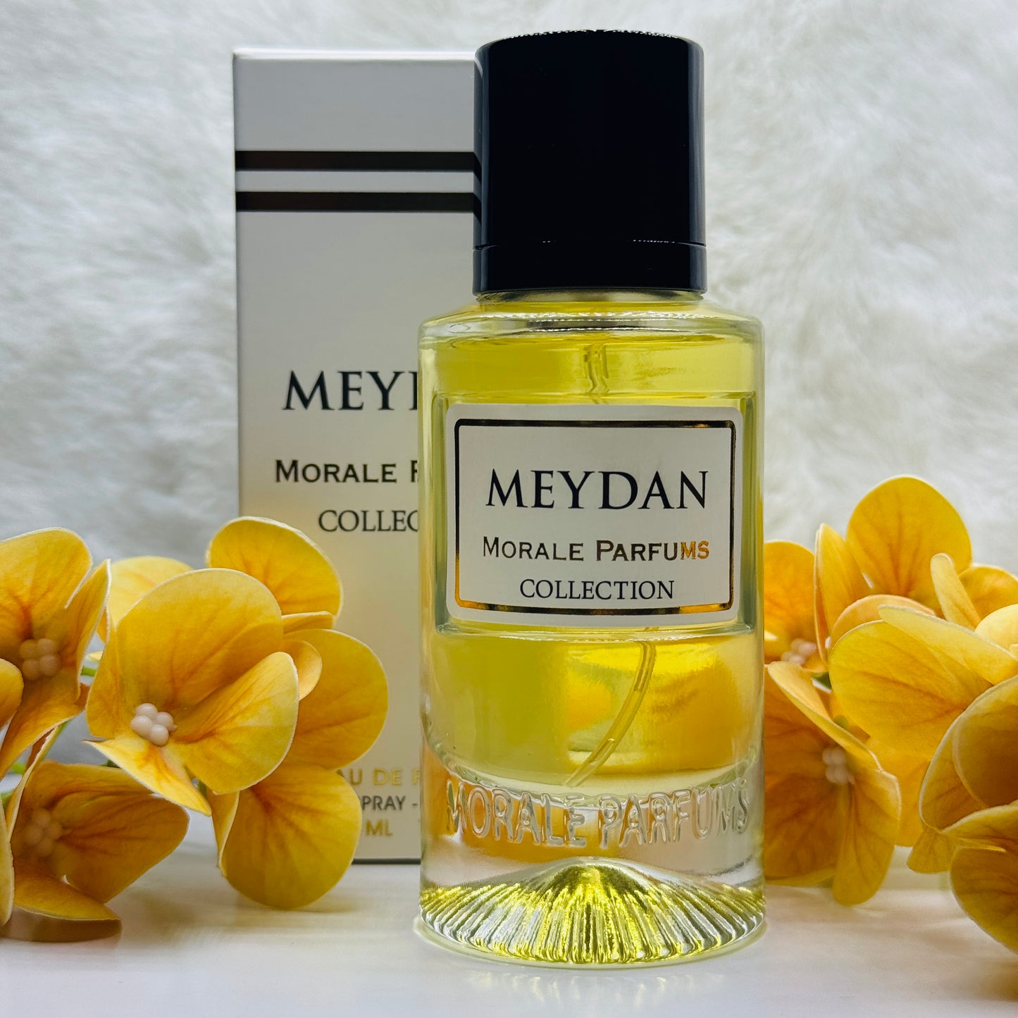 Meydan Eau De Perfume Unisex 50ml/ 1.7oz by Morale Parfum 